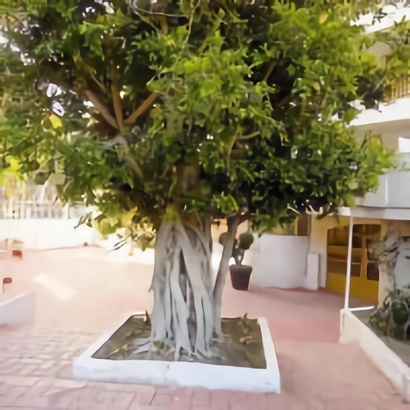 Luminoso Apartamento En Salou Con Terraza Y Parque Infantil Ideal Familias מראה חיצוני תמונה